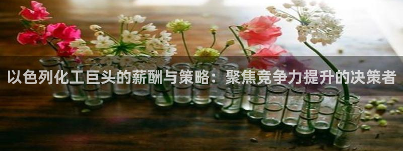 球盟会官方登录平台：以色列化工巨头的薪酬与策略：聚焦竞争力提