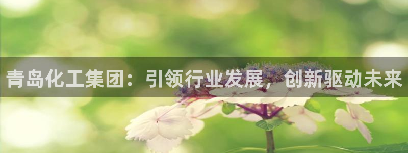 球盟会官方入口：青岛化工集团：引领行业发展，创新驱动未来