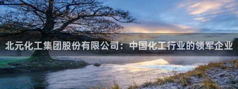 球盟会qm：北元化工集团股份有限公司：中